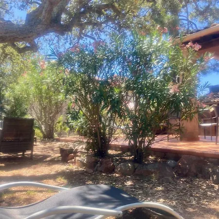 Vila Cherie 120m2 - Bord De - Olmuccio 9 Pers Zonza