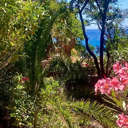 Chérie 120m2 - Bord De - Olmuccio 9 Pers Villa *