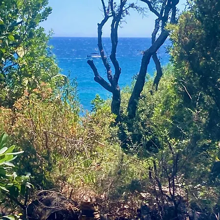 Villa Cherie 120m2 - Bord De - Olmuccio 9 Pers *